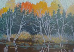 Northern Marsh